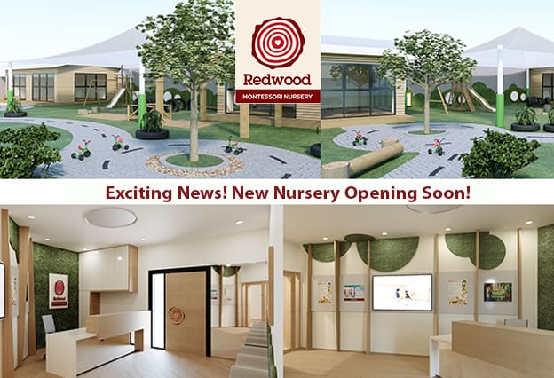 Redwood Nursery to Open in Dafna Soon!